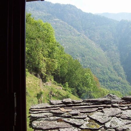 Appartamentino Nel Bosco Sondrio Eksteriør bilde
