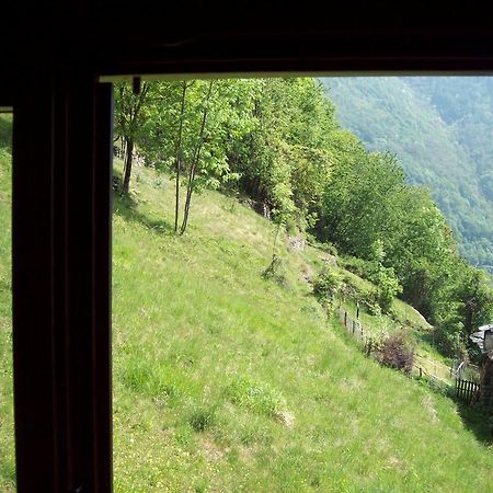 Appartamentino Nel Bosco Sondrio Eksteriør bilde