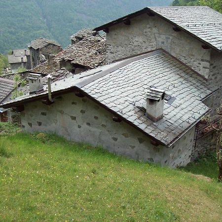 Appartamentino Nel Bosco Sondrio Eksteriør bilde