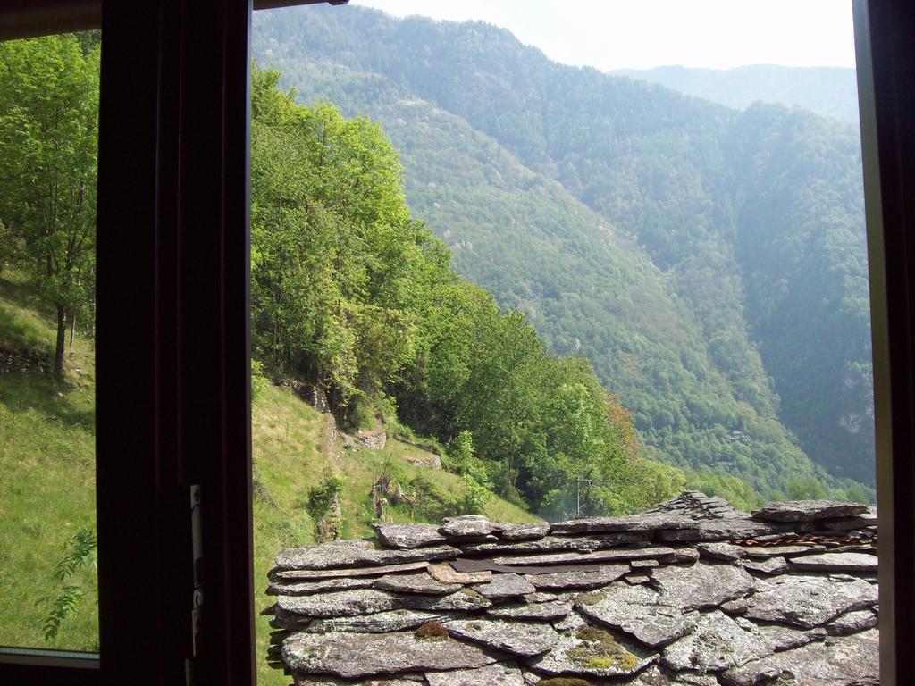 Appartamentino Nel Bosco Sondrio Eksteriør bilde