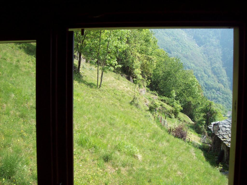 Appartamentino Nel Bosco Sondrio Eksteriør bilde