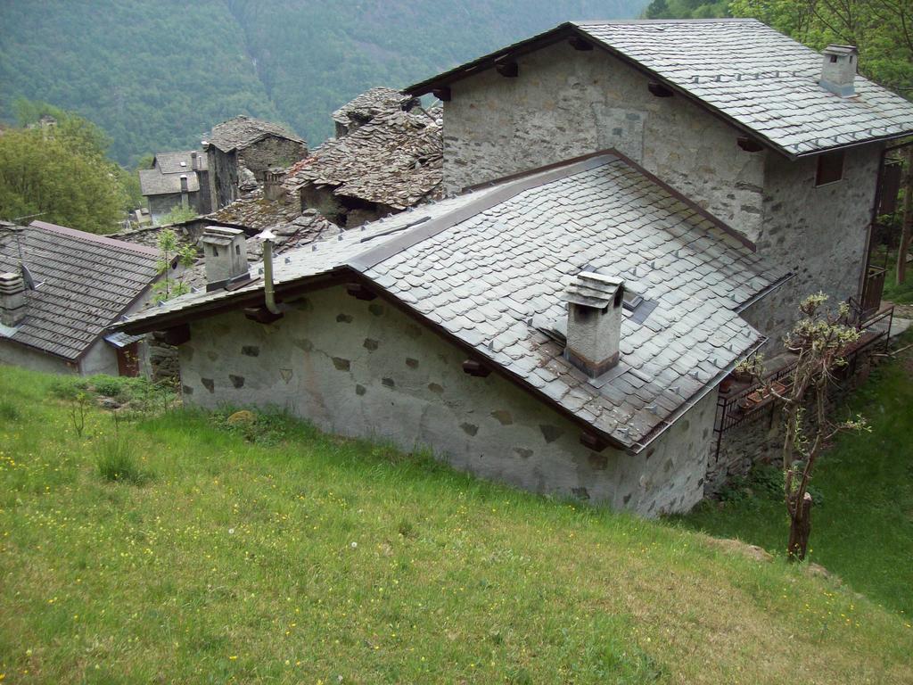 Appartamentino Nel Bosco Sondrio Eksteriør bilde